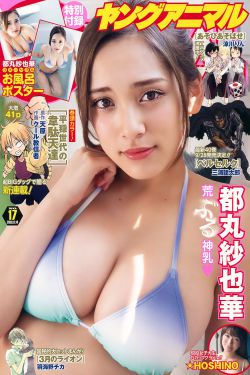 电视剧突围全集播放