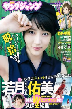 狄仁杰断案传奇全集